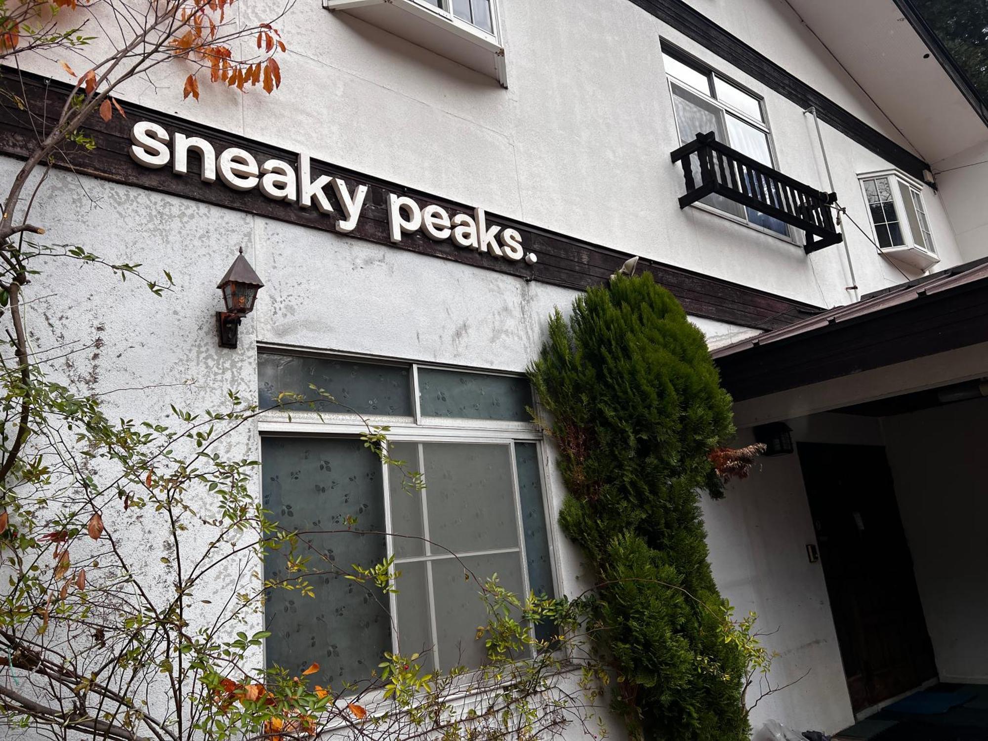 Sneaky Peaks Hotel Hakuba Eksteriør billede